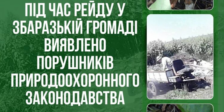 Фото: Державна екологічна інспекція у Тернопільській області