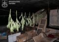 Фото: Тернопільська обласна прокуратура