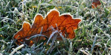 Фото: ілюстративне/з вільних джерел