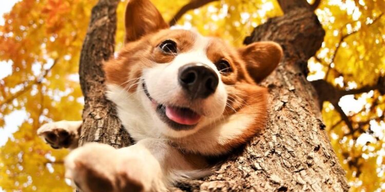 Фото: ілюстративне/з вільних джерел