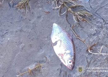 Фото: ГУНП в Тернопільській області