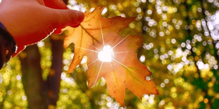 Фото: ілюстративне/з вільних джерел