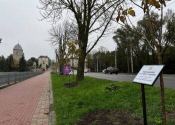Фото: ілюстративне/з вільних джерел