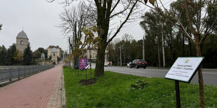 Фото: ілюстративне/з вільних джерел