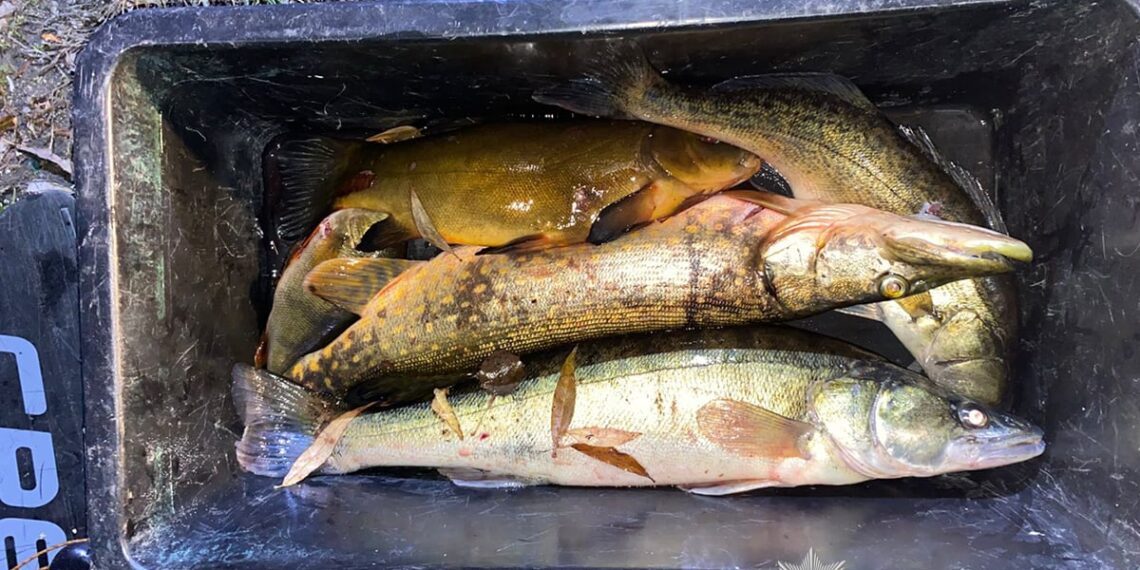 Фото: ГУНП в Тернопільскій області