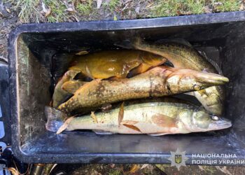 Фото: ГУНП в Тернопільскій області