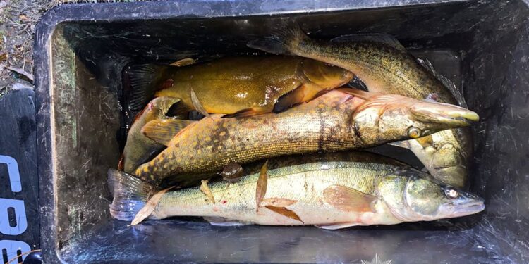 Фото: ГУНП в Тернопільскій області