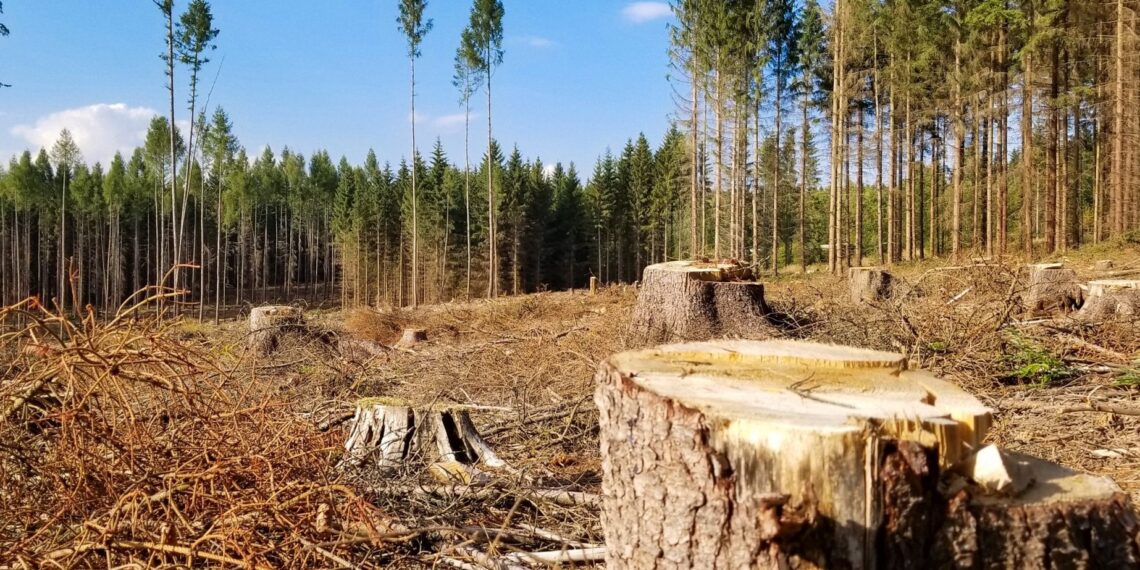 Фото: ілюстративне/з вільних джерел