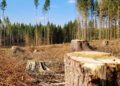 Фото: ілюстративне/з вільних джерел