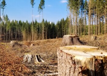Фото: ілюстративне/з вільних джерел