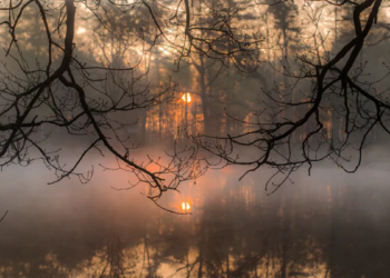 Фото: ілюстративне/ з вільних джерел