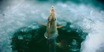 Фото: ілюстративне/з вільних джерел