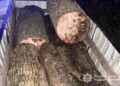 Фото: ГУНП в Тернопільскій області