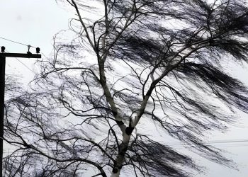 Фото: ілюстративне/з вільних джерел