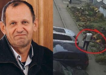 Фото: з вільних джерел