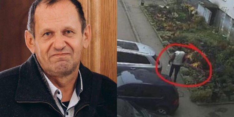 Фото: з вільних джерел