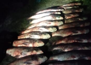 Фото: Державна екологічна інспекція у Тернопільській області