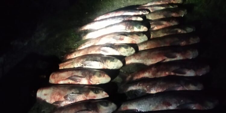 Фото: Державна екологічна інспекція у Тернопільській області