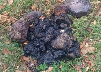 Фото: КП "Тернопільводоканал"