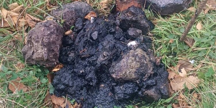 Фото: КП "Тернопільводоканал"