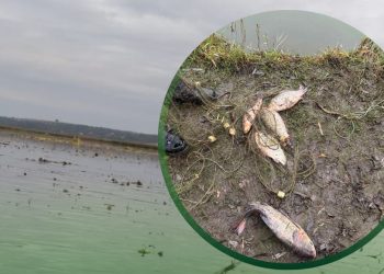 Фото: Державна екологічна інспекція у Тернопільській області