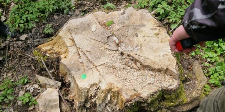 Фото: Тернопільська обласна прокуратура