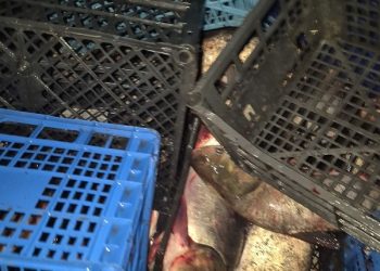 Фото: Тернопільський рибоохоронний патруль