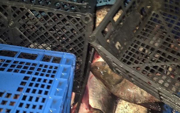 Фото: Тернопільський рибоохоронний патруль