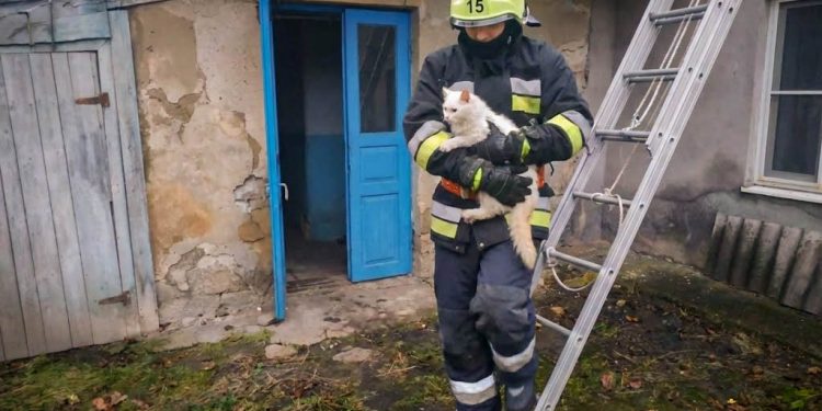 Фото: ДСНС Тернопільщини