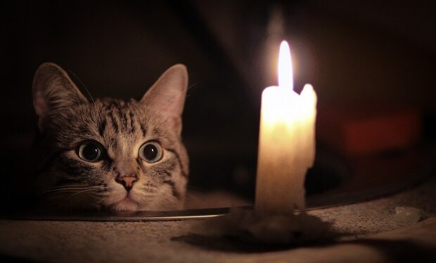 Фото: ілюстративне/з вільних джерел