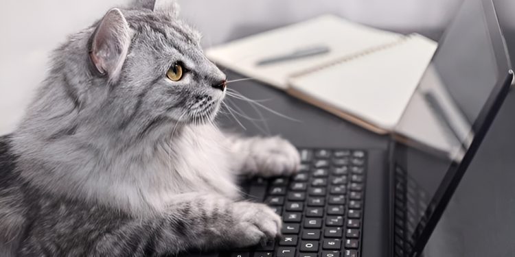 Фото: ілюстративне/з вільних джерел