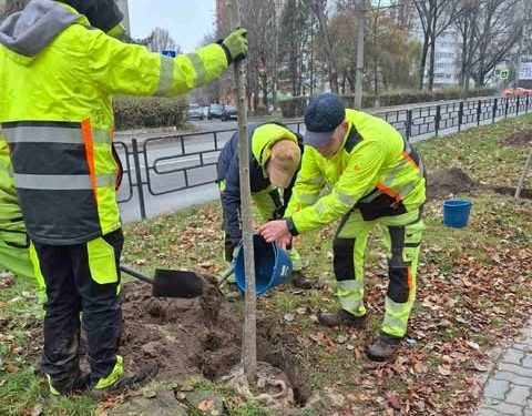 Фото: Тернопільська міська рада