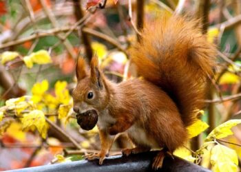 Фото: ілюстративне/з вільних джерел