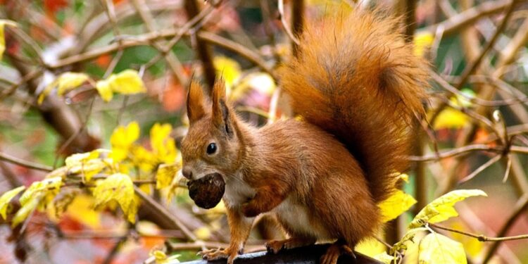Фото: ілюстративне/з вільних джерел