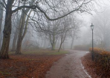 Фото: ілюстративне/з вільних джерел