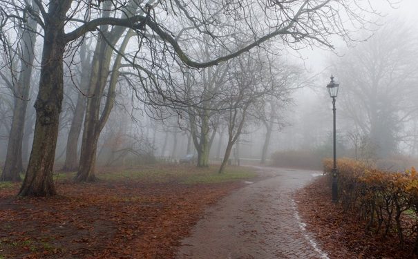 Фото: ілюстративне/з вільних джерел