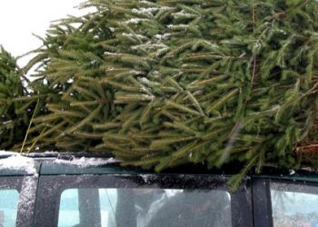 Фото: ілюстративне/з вільних джерел