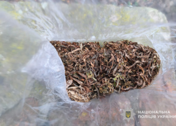 Фото: ГУНП в Тернопільській області