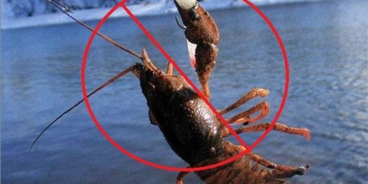 Фото: ілюстративне/з вільних джерел