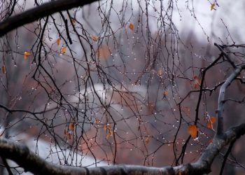 Фото: ілюстративне/з вільних джерел