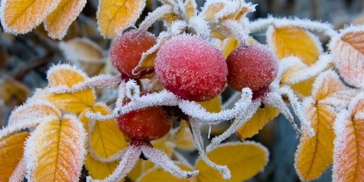 Фото: ілюстративне/з вільних джерел