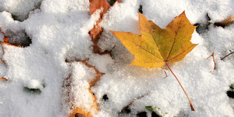Фото: ілюстративне/з вільних джерел