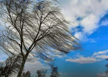 Фото: ілюстративне/з вільних джерел
