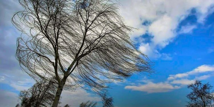 Фото: ілюстративне/з вільних джерел