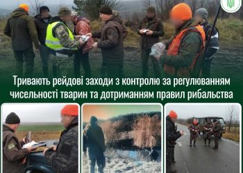 Фото: Державна екологічна інспекція у Тернопільській області
