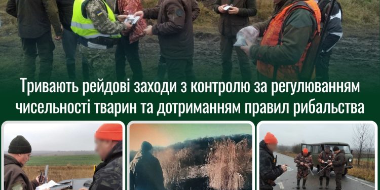 Фото: Державна екологічна інспекція у Тернопільській області