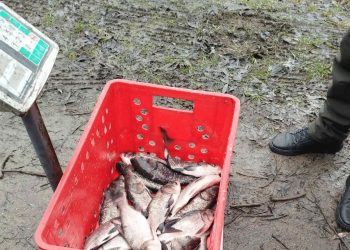 Фото: Головне управління Держпродспоживслужби в Тернопільській області