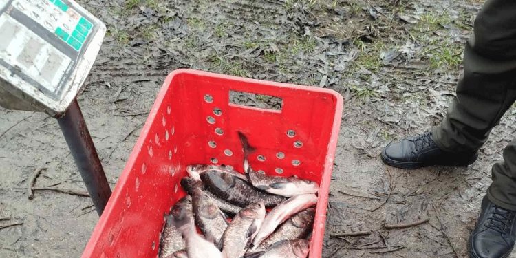 Фото: Головне управління Держпродспоживслужби в Тернопільській області