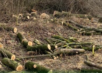 Фото: Державна екологічна інспекція у Тернопільській області