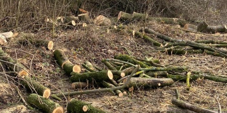 Фото: Державна екологічна інспекція у Тернопільській області